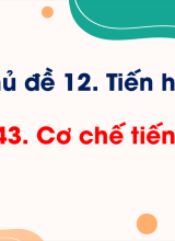Bài 43. Cơ chế tiến hoá
